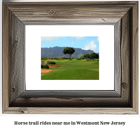 horse trail rides near me in Westmont, New Jersey